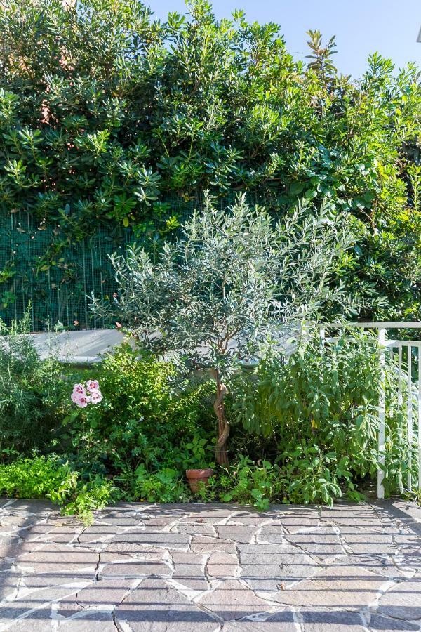 Apartament Casa Ceroni Rzym Zewnętrze zdjęcie